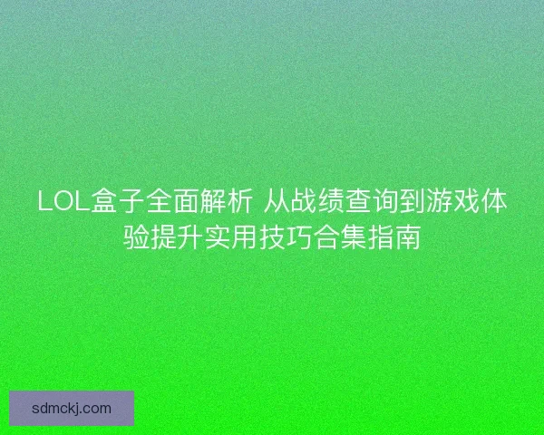 LOL盒子全面解析 从战绩查询到游戏体验提升实用技巧合集指南